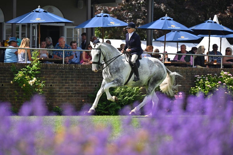 Tuffa competition and show riding boots for equestrian events
