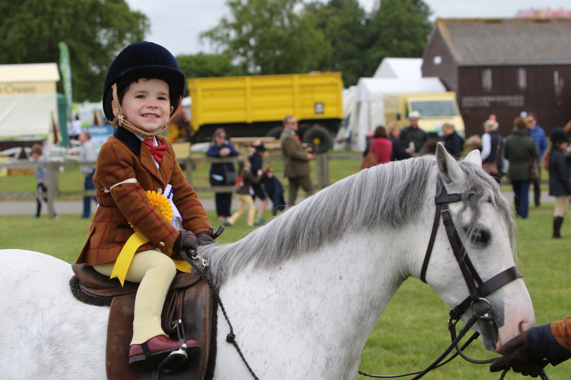 Junior Show Boots