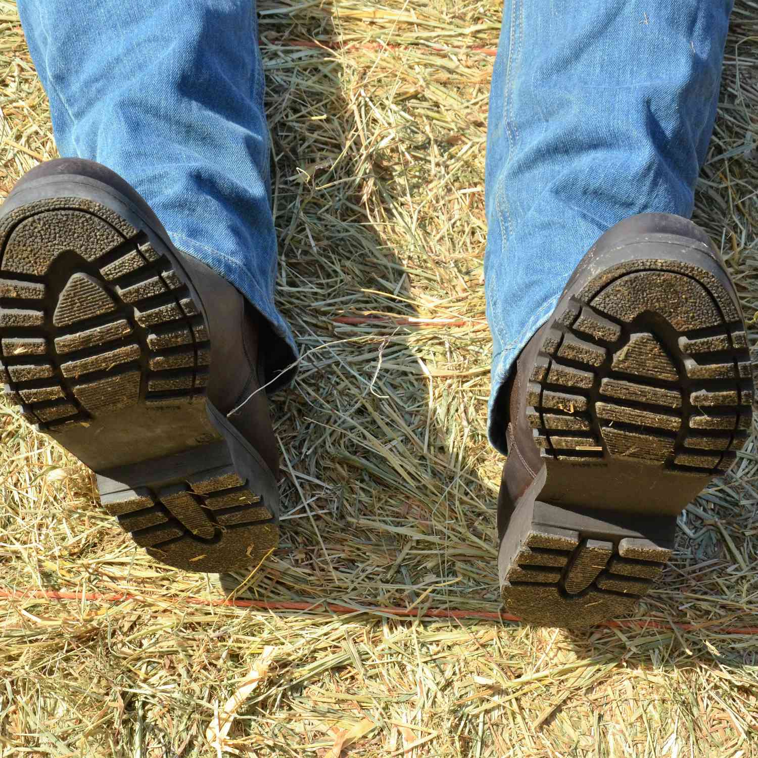Clydesdale Yard Boots