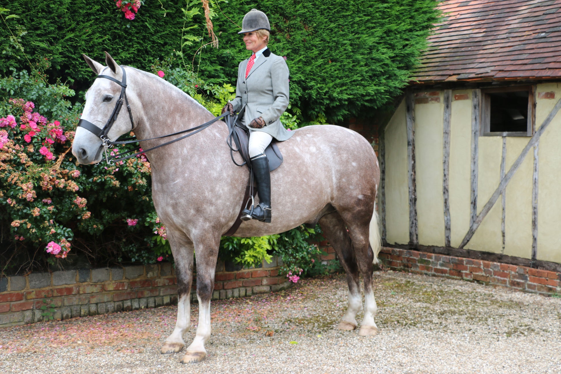 M2M Riding Boots, Showtime