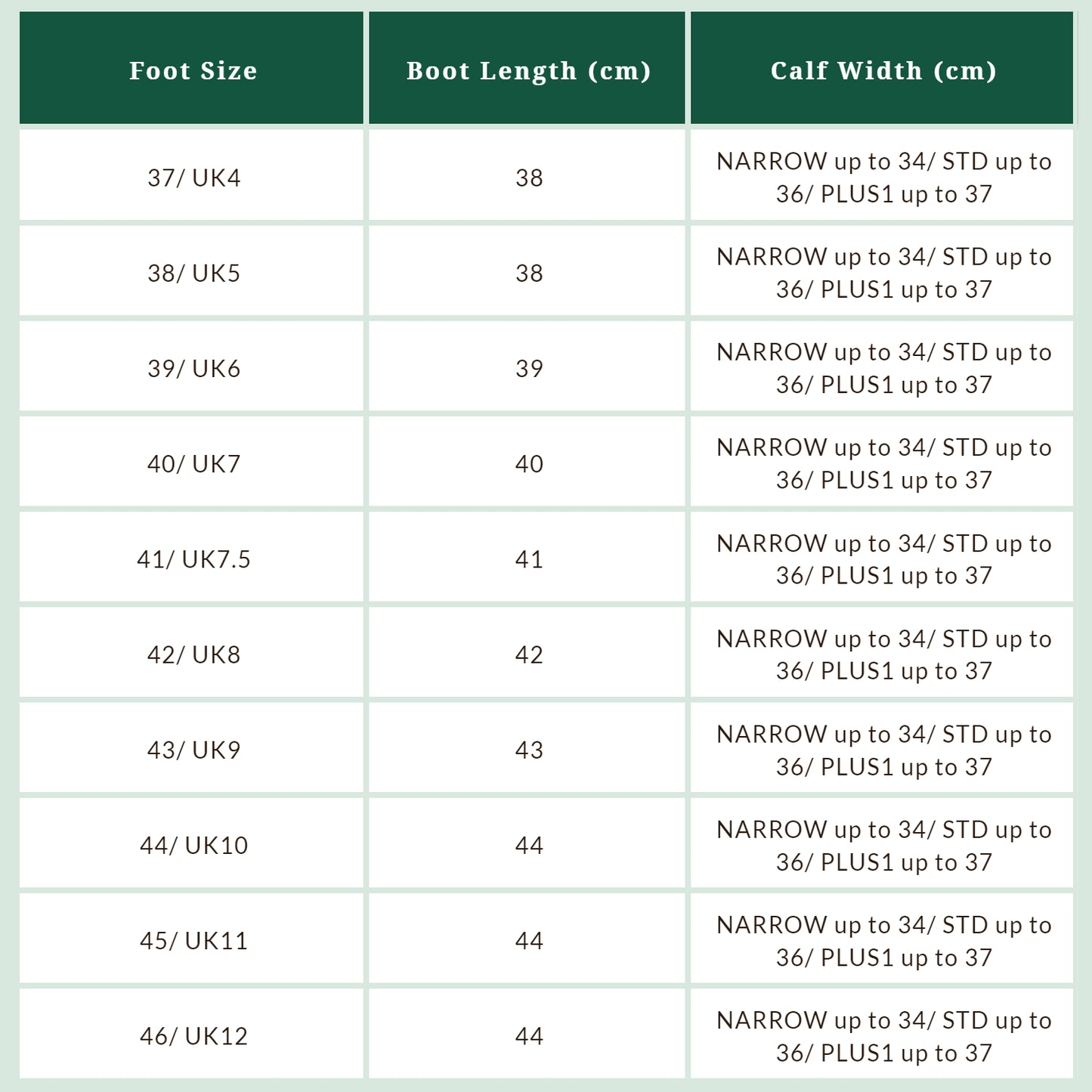 Sandown Race Exercise Boots