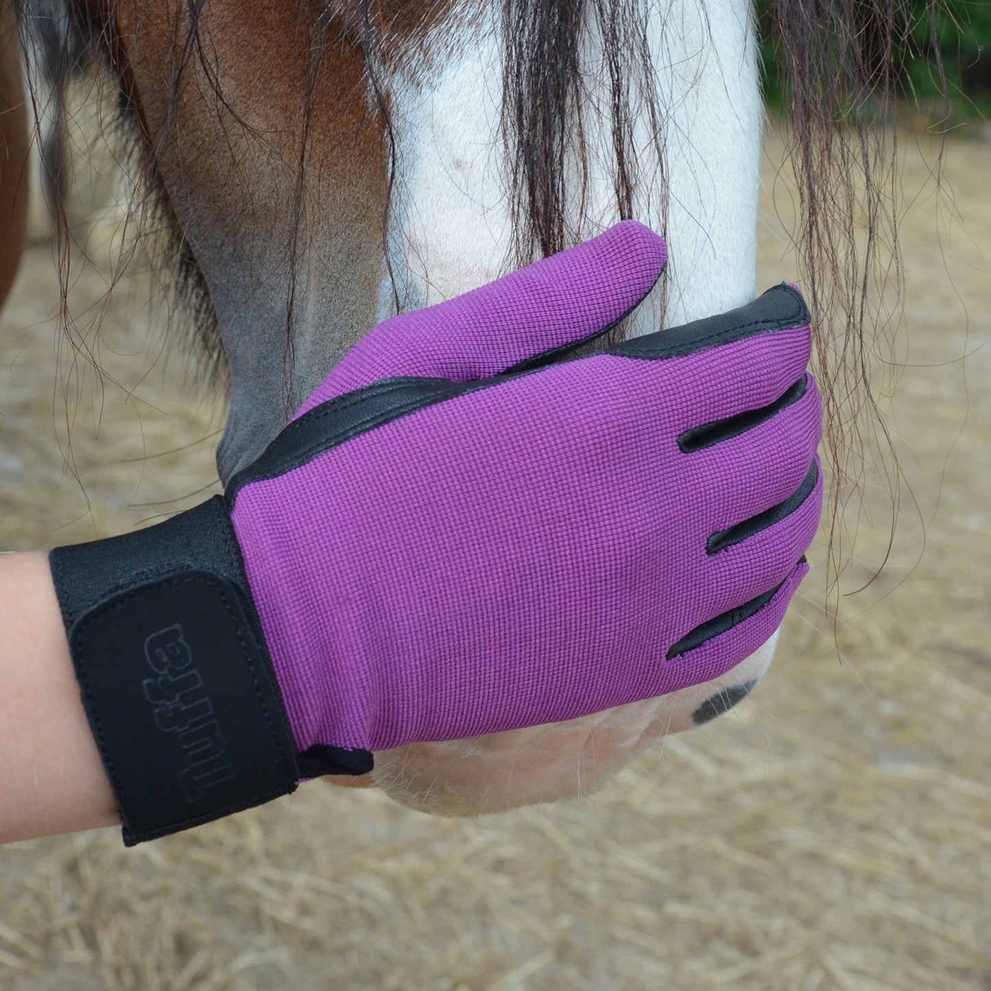 Hingham Riding Gloves