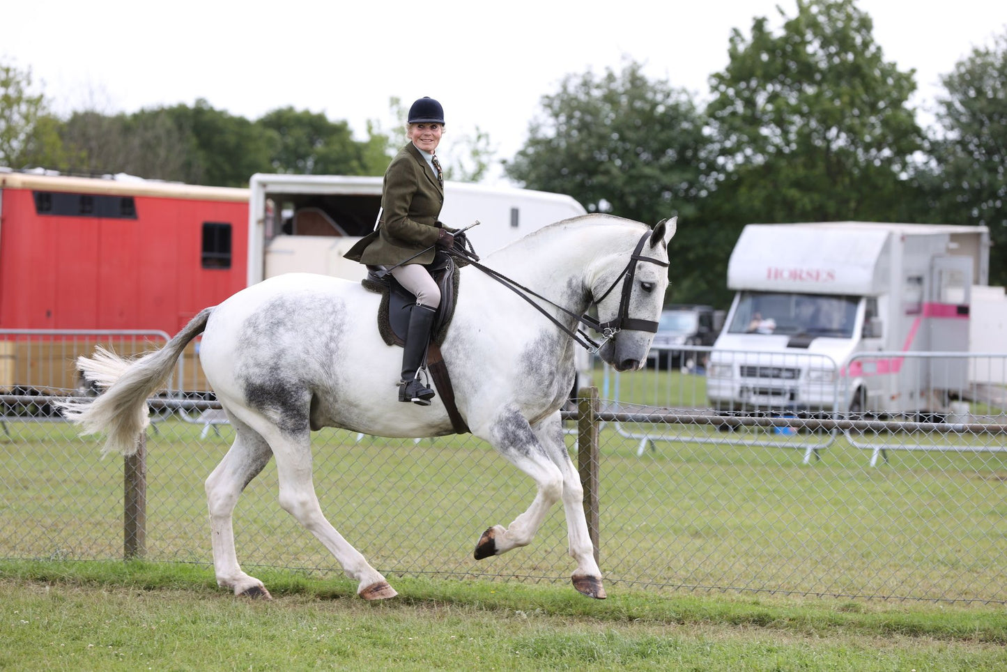 Showtime Riding Boots