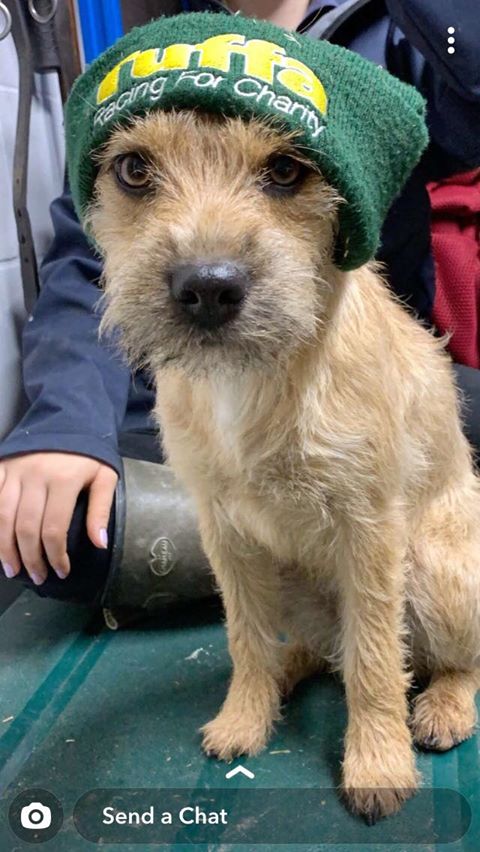 Leather Care Products