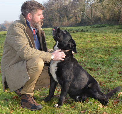 Tuffa Endurance Riding Trainers – product image