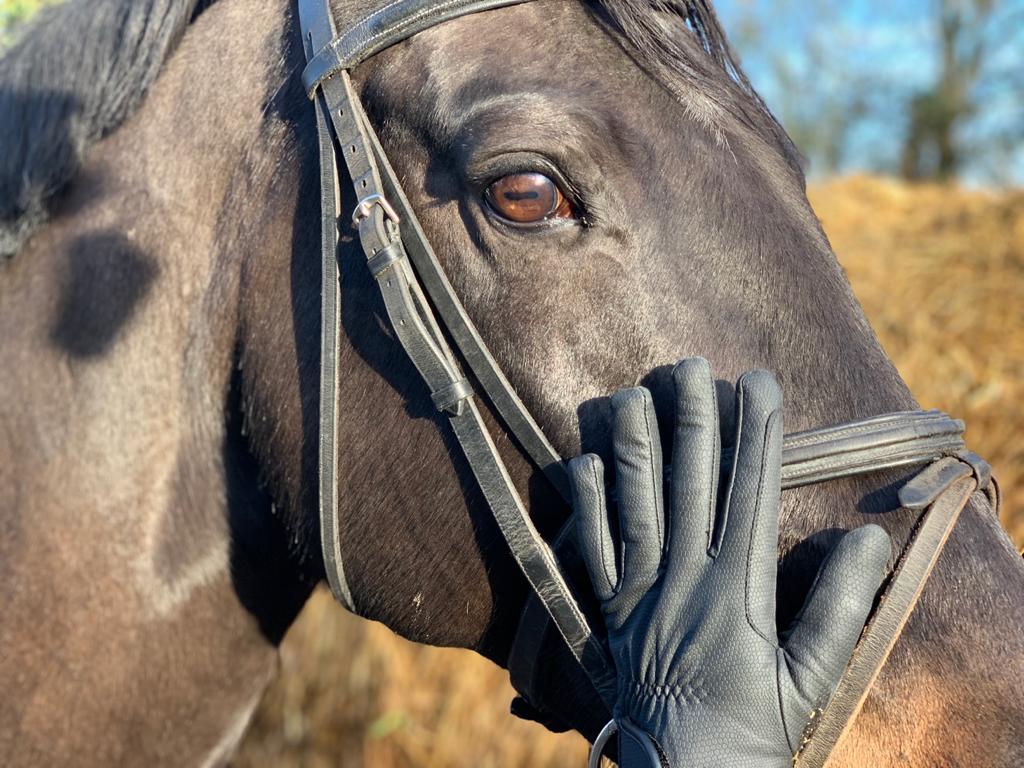 Hemsby Winter Riding Gloves