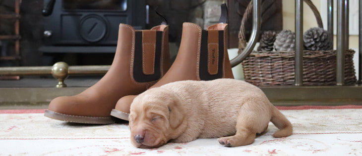 Bronco Boots