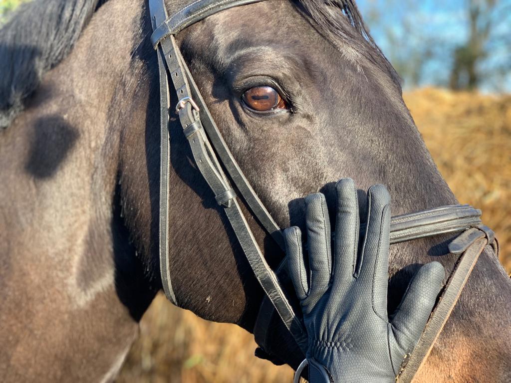 Tuffa Hemsby Winter Riding Gloves – product image