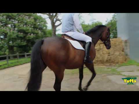 Berkshire Hunt Boots