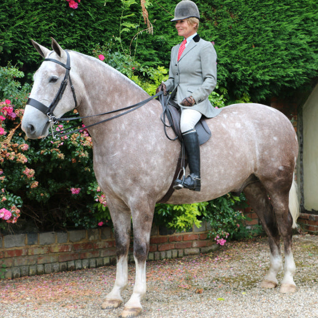 Competition & Showing Boots
